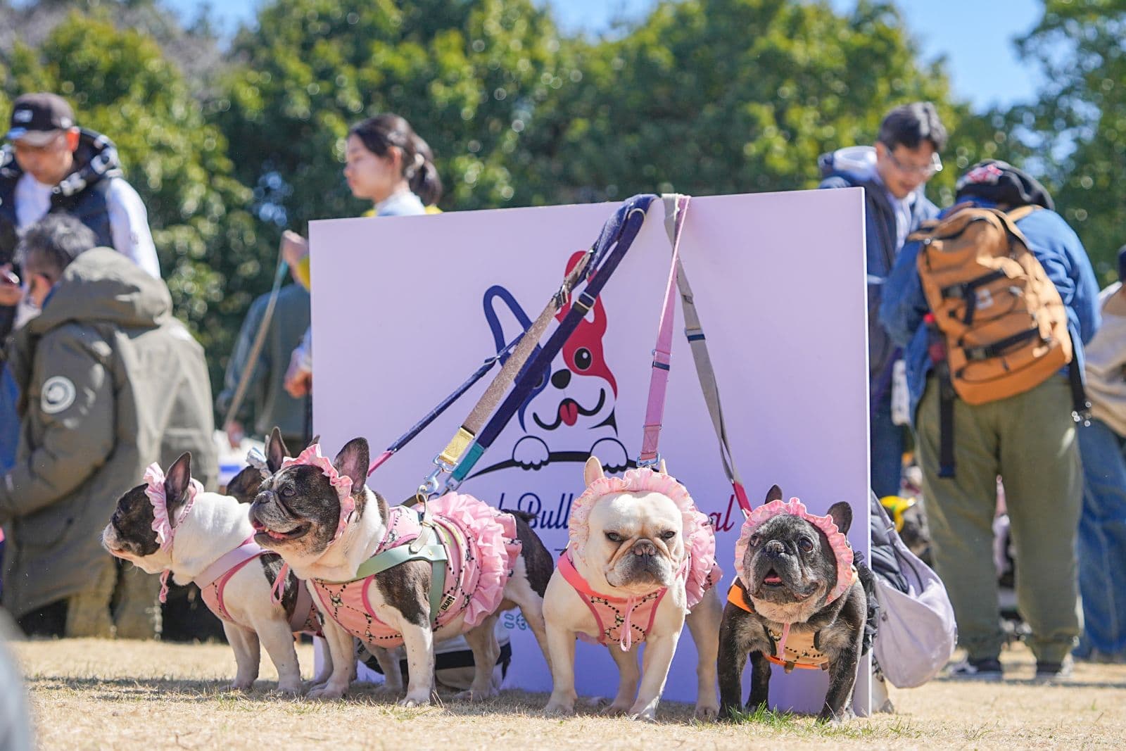 フレブルフェスティバル 2026 AUTUMN meets イーノの森Dog Garden / 2026年春・他会場の開催写真