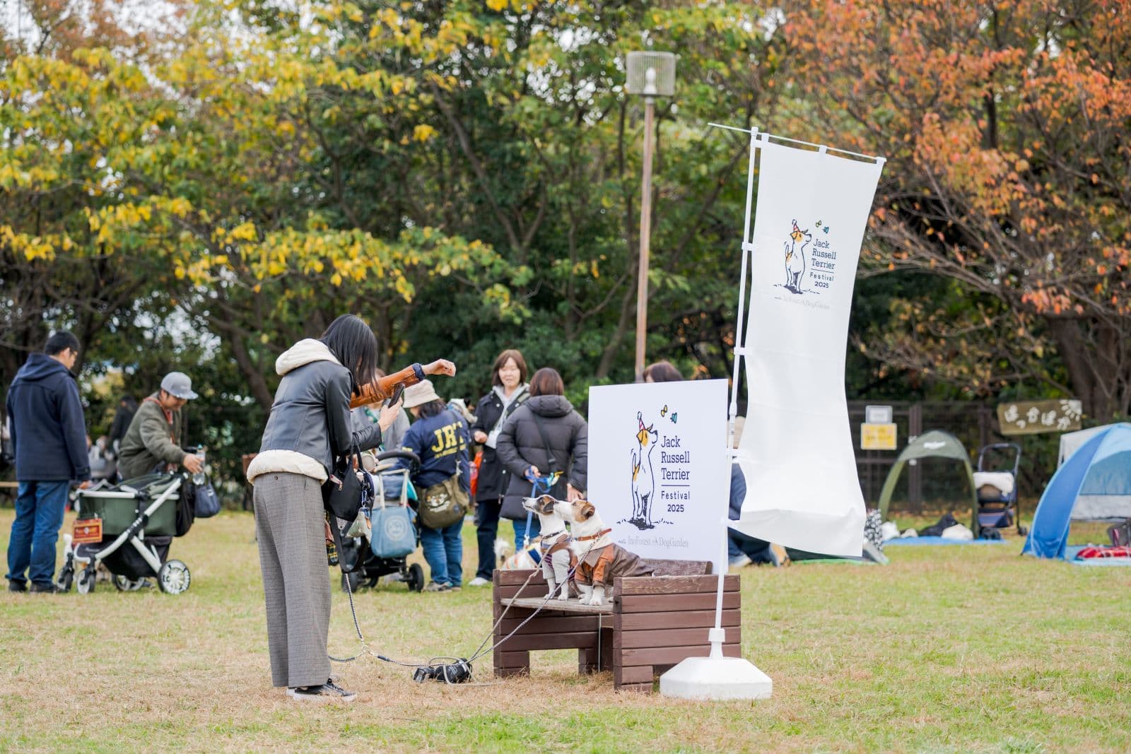 ジャックラッセルテリアフェスティバル 2026 AUTUMN meets イーノの森Dog Garden / 2025年秋の開催写真