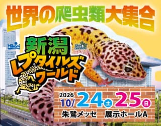 新潟レプタイルズワールド2026 公式告知バナー