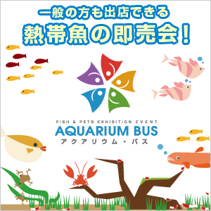 第51回 アクアリウムバス 公式画像